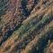長野の紅葉2019
