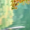 あきふわり
