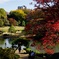 六義園、11/19