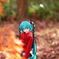 お散歩。