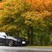 紅葉の下で