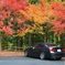 紅葉と愛車
