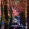 車と紅葉と寺と