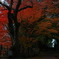 紅葉