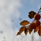 20191115_133001