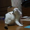 痒いぃ～～