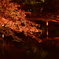 醍醐寺　紅葉ライトアップ②