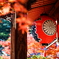 紅と赤