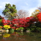 山形市宝幢寺もみじ公園