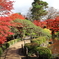 山形市宝幢寺 もみじ公園