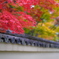 芳春院