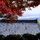 西教寺