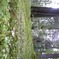 霞森