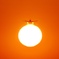 ぶらさがった夕陽