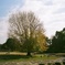 大師公園