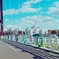 虹の橋