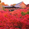 東福寺にて