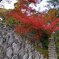 正曆寺④