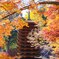 談山神社①