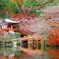 醍醐寺弁天堂の秋