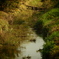 淀川の支流
