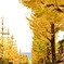 4D5BB85D-73C0-42C1-A385-33897721339D