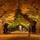 Golden Autumn