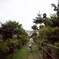 japan02