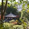 銀閣寺