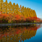 お城の紅葉４