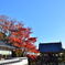 善峯寺その１