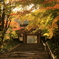 木曽の定勝寺山門の紅葉