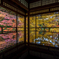 京都紅葉2019－②