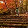 いつかの紅葉