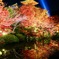 清水寺IMG_0562