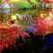 清水寺IMG_0555