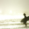 Shonan