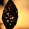 夕暮れ