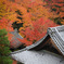圓光寺