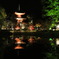 大覚寺真紅のライトアップ