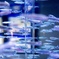 81350B67-AEA0-4637-9AE5-917F9B82EDB0