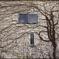 Wall　Tree