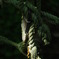 photo919037