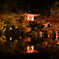 醍醐寺2
