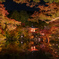 醍醐寺３