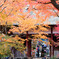 嵯峨野　常寂光寺　2019年秋