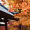 嵯峨野　常寂光寺　2019年秋