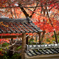 去りゆく京都の秋