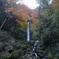 養老の滝