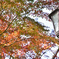 公園の街燈２